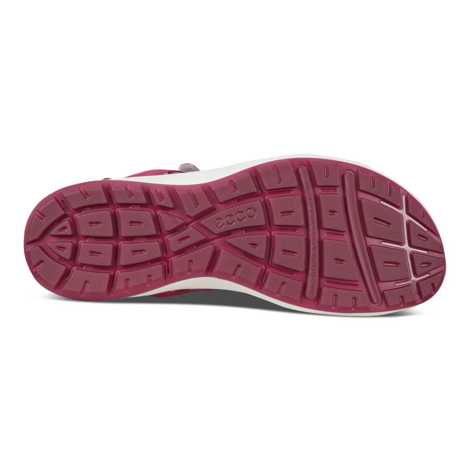 Cruise Ii Ecco Hungary Sangria