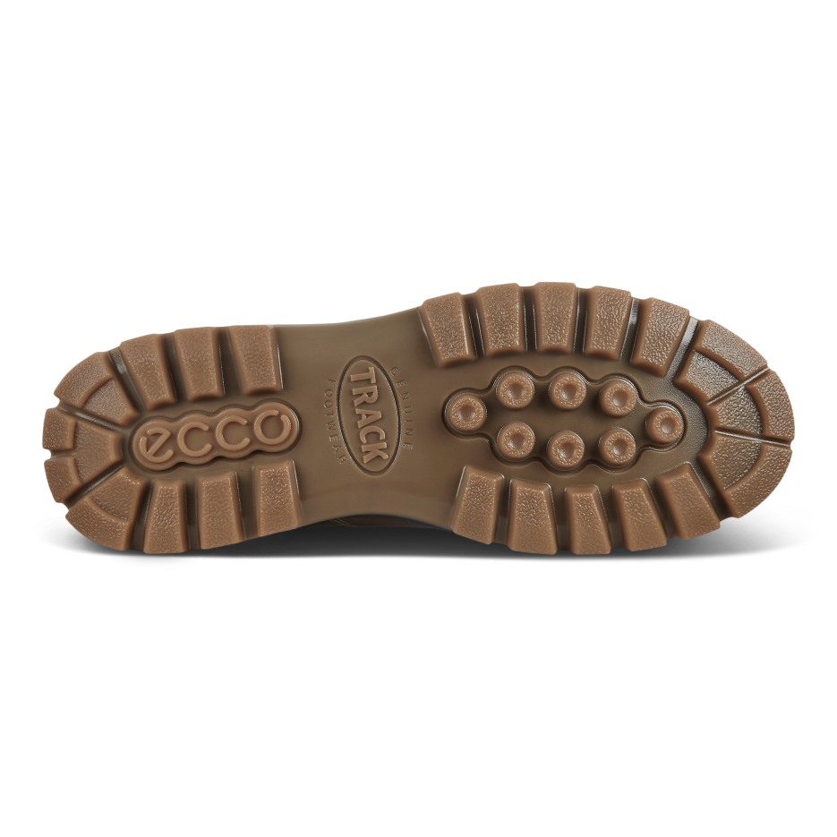 Kávé Ecco Hungary Pálya 25 M