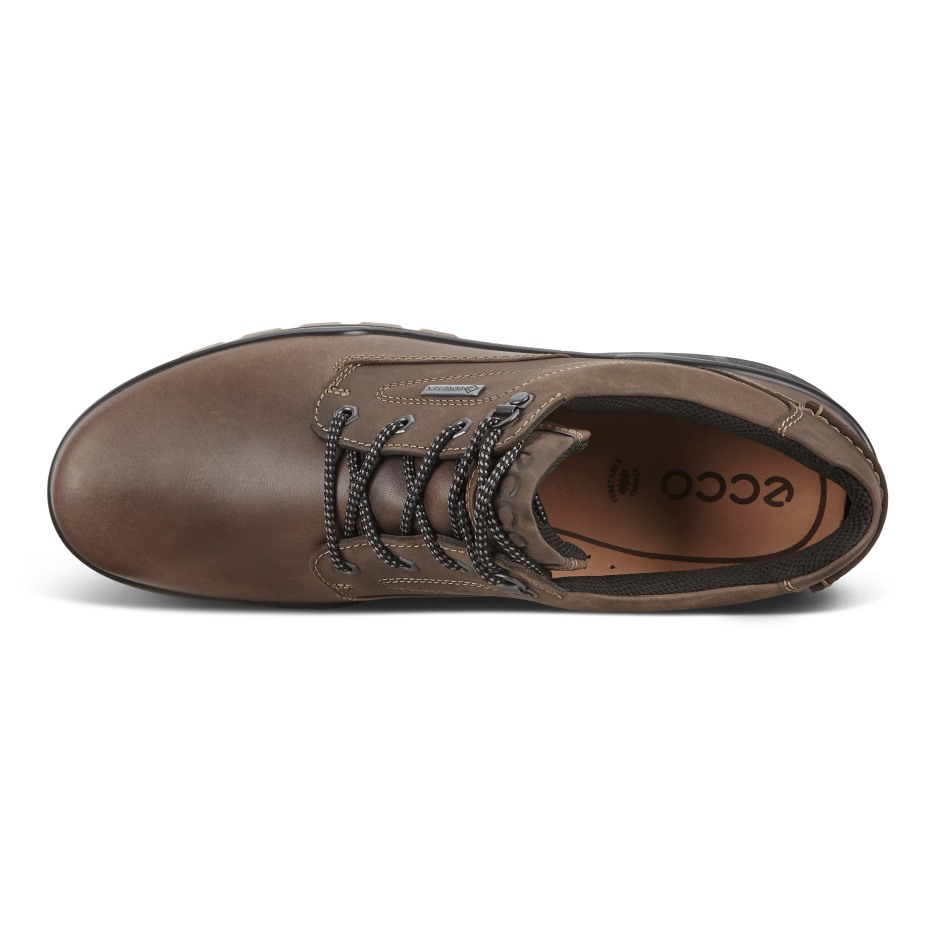 Kávé Ecco Hungary Pálya 25 M