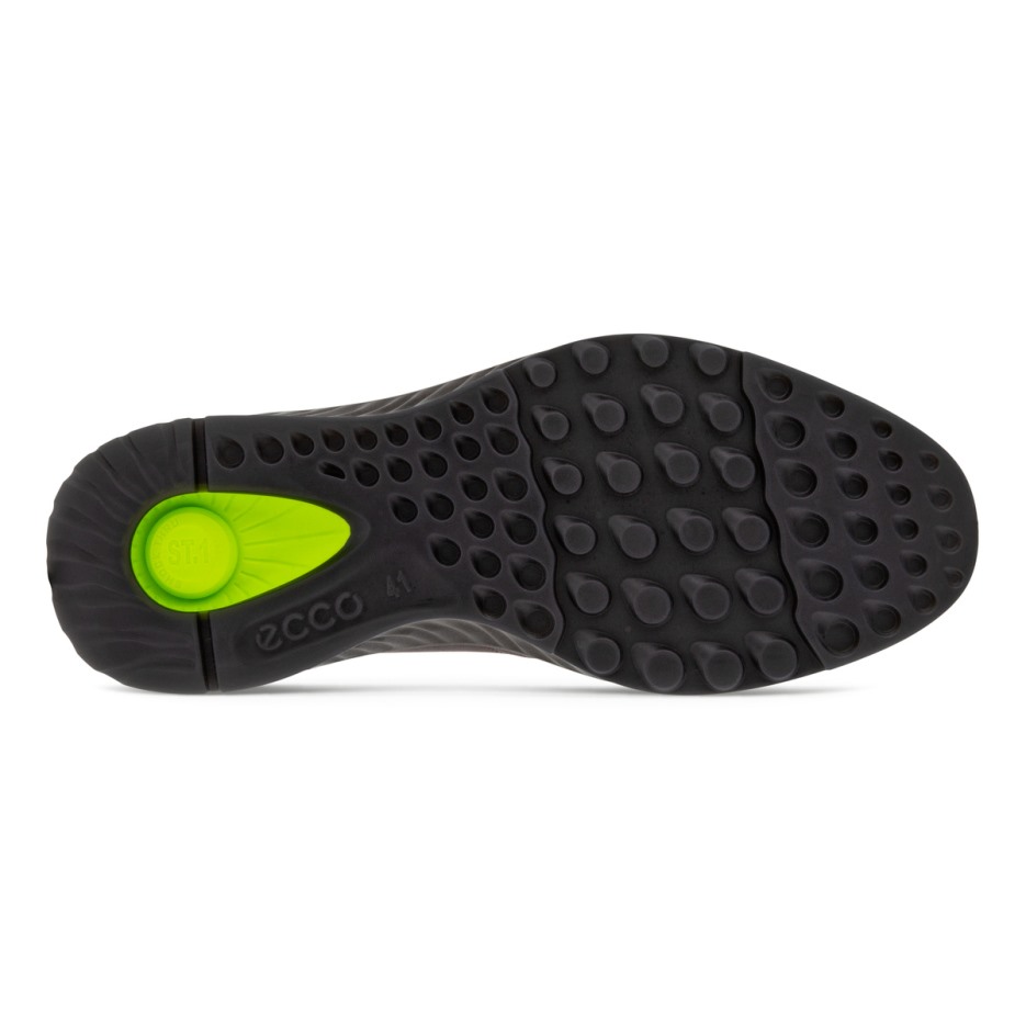 Ecco Hungary Licorice St.1 Hibrid