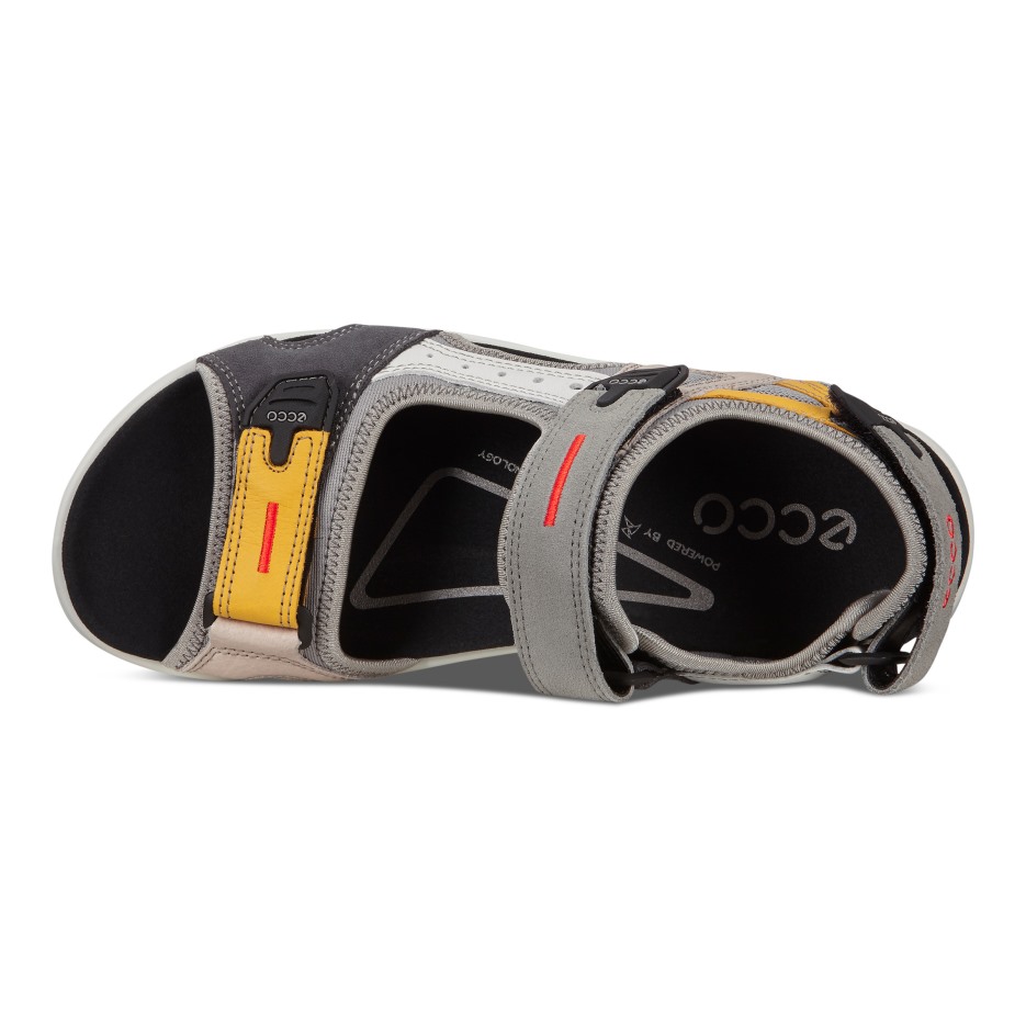 Ecco Hungary Offroad Többszínű