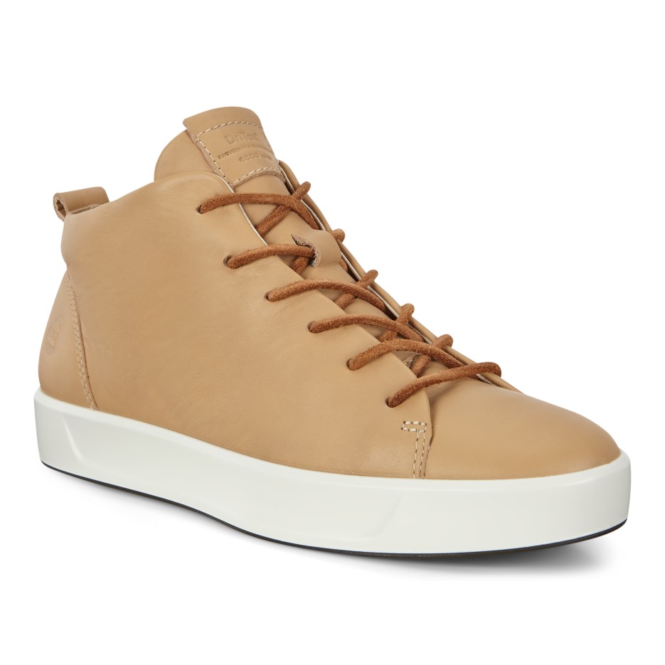 Latte Soft 8 W Dritan Ecco Hungary