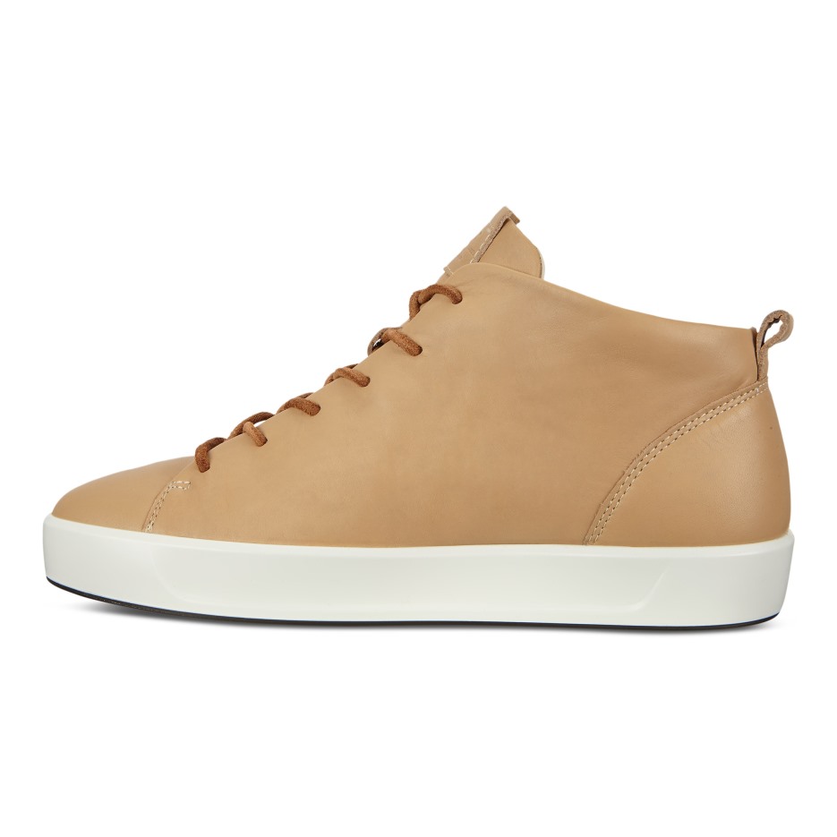 Latte Soft 8 W Dritan Ecco Hungary