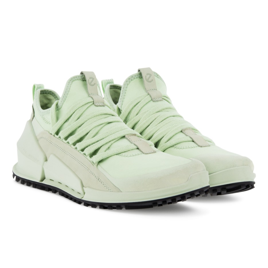Matcha Ecco Hungary Biom 2.0 W