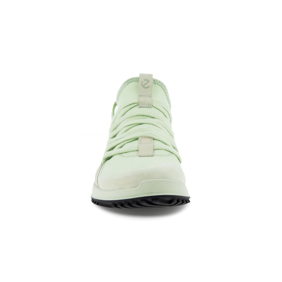 Matcha Ecco Hungary Biom 2.0 W