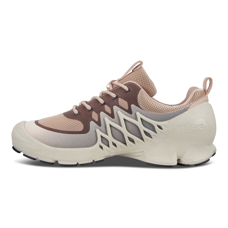 Rose Ecco Hungary Biom Aex W