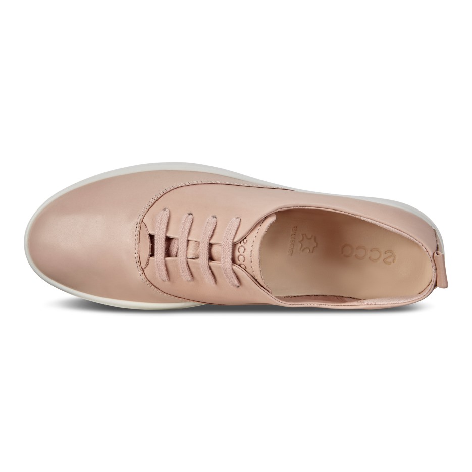 Rózsa Szabadidő Ecco Hungary